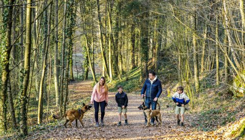 Photo d'une famille pendant une promenade en forêt